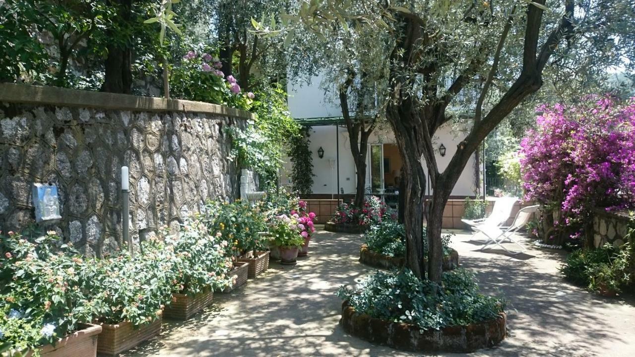 Villa L'Ulivina Сорренто Экстерьер фото